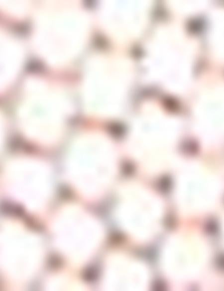 Gül Kurusu Ayakkabı - 50216584013