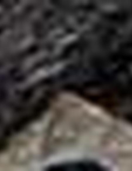 Siyah SNEAKER - 50216586001