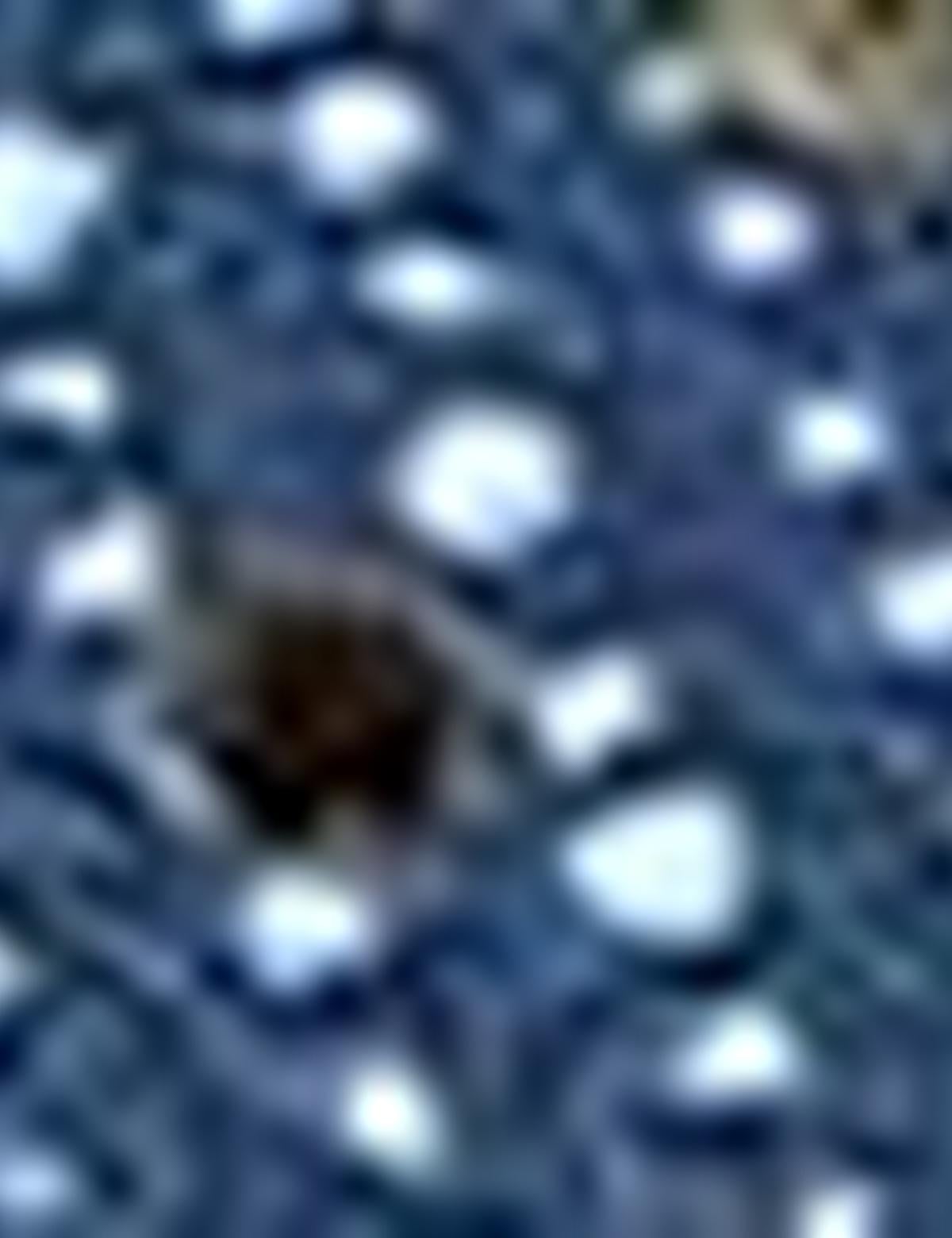 Denim Ayakkabı - 50216586011