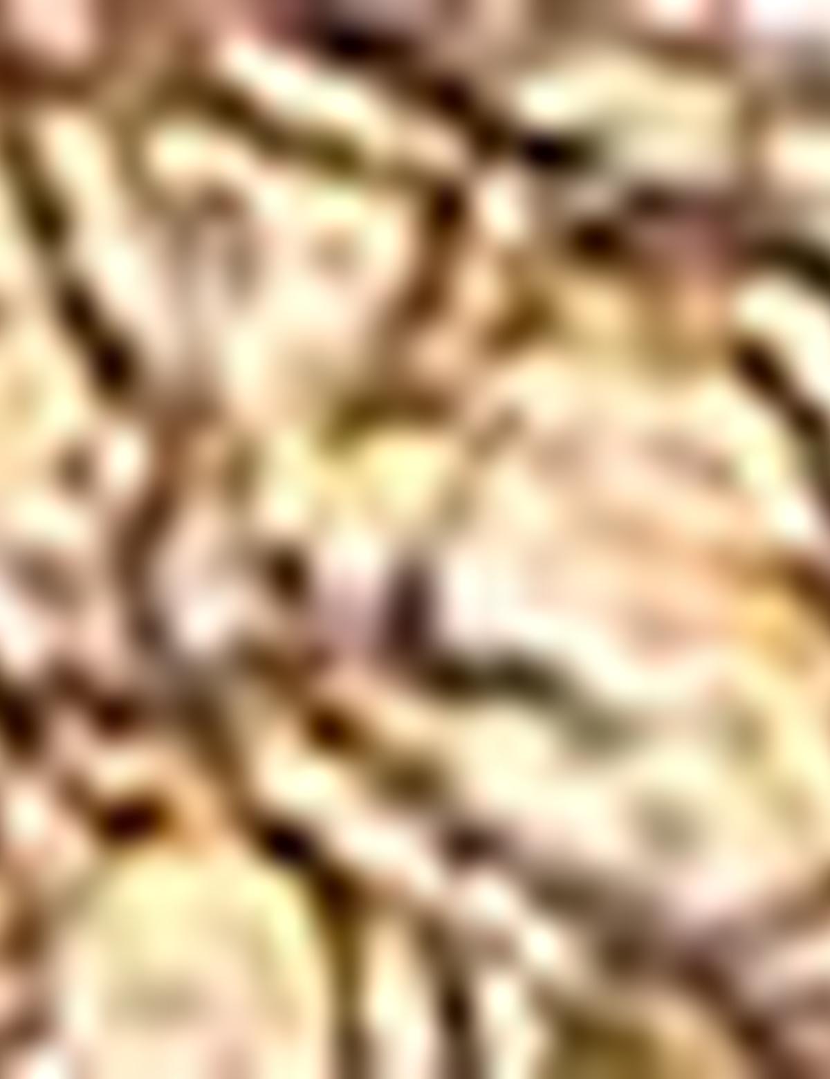 Bronz Ayakkabı - 50216587003