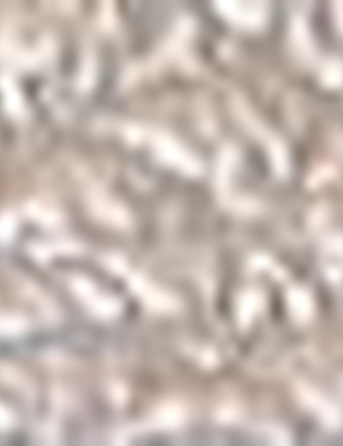 Vizon Ayakkabı - 50216587016