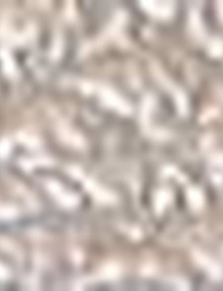 Vizon Ayakkabı - 50216587016