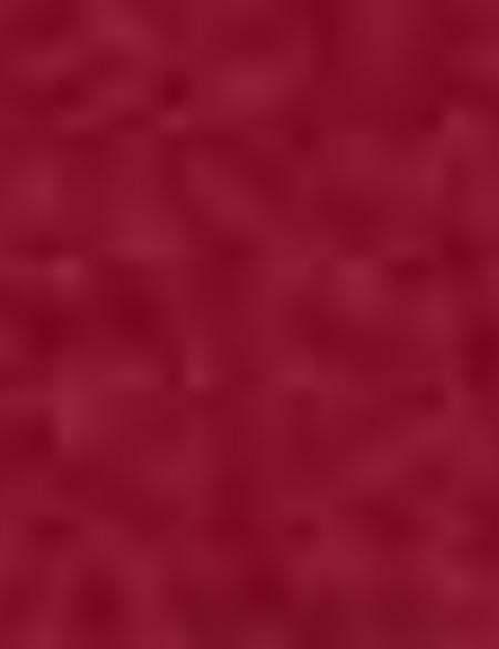 Kadın Sırt Çantası - 50217858001