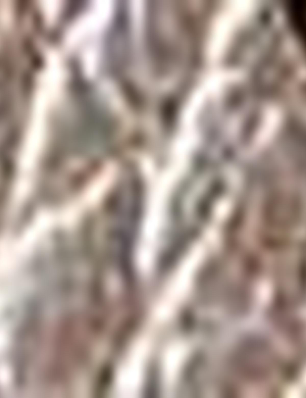 Vizon Ayakkabı - 50218656007