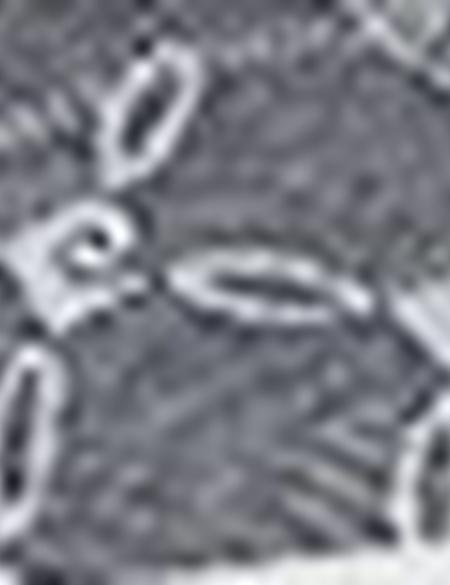 Lacivert Sneakers - 50218657021