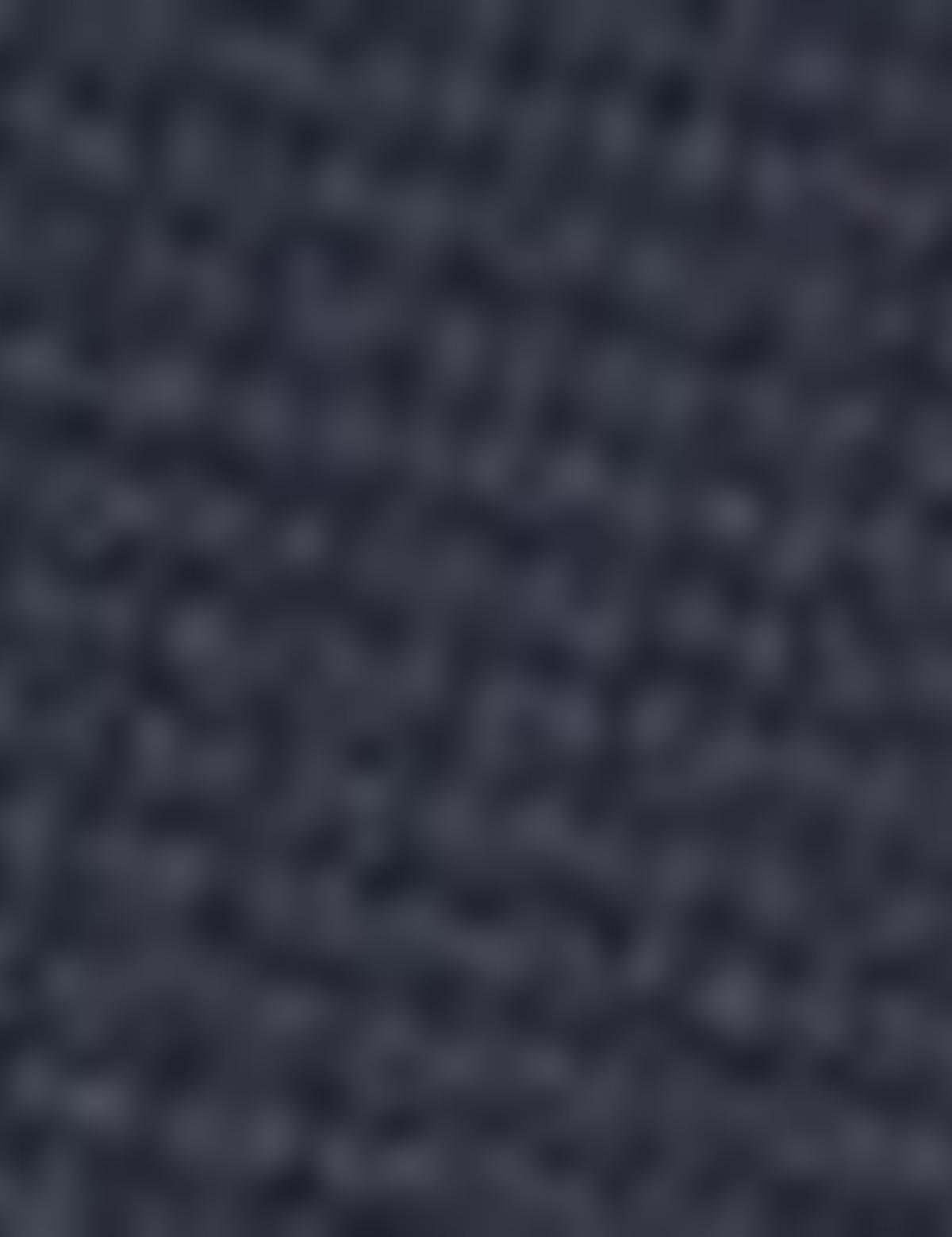 Lacivert Ceket - 50218704041