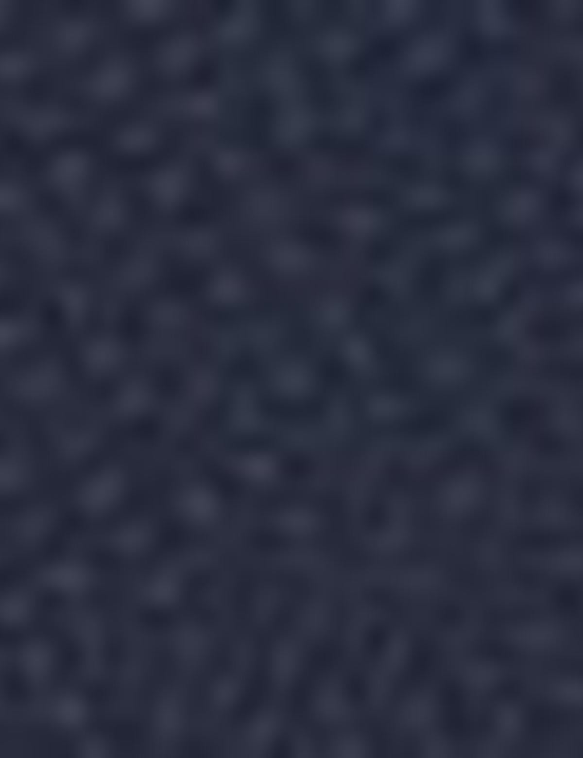 Lacivert Takım Elbise - 50218717047