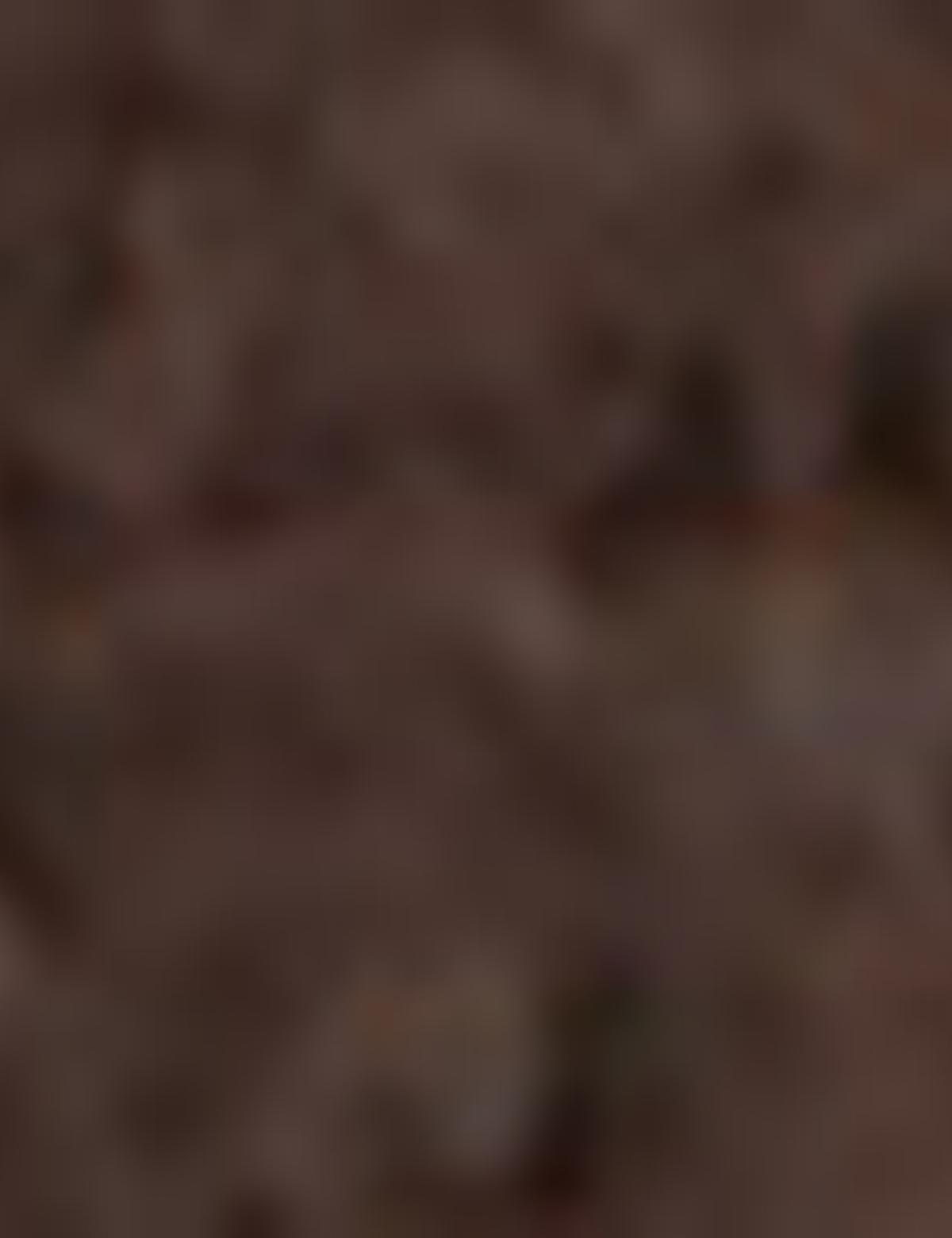 Kahverengi Sneakers Ayakkabı - 50219370007