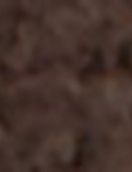 Kahverengi Sneakers Ayakkabı - 50219370007