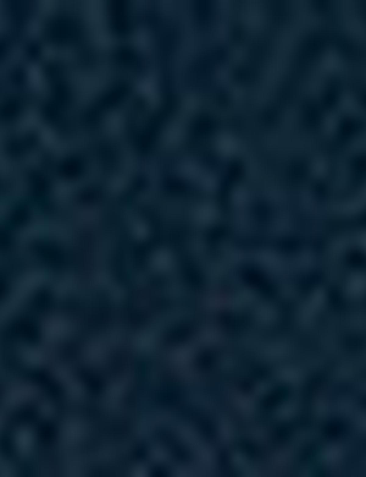 Lacivert Sneakers Ayakkabı - 50219385005