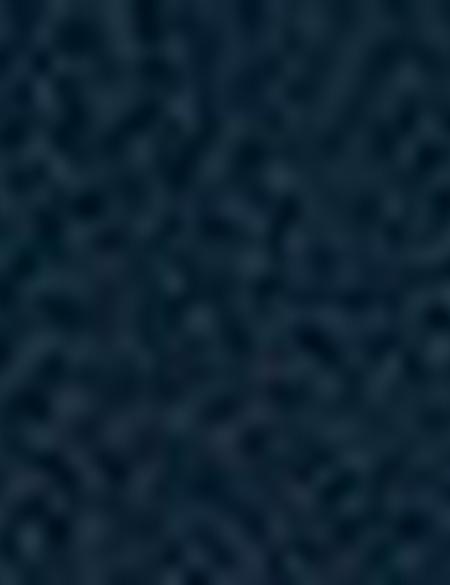 Lacivert Sneakers Ayakkabı - 50219385005