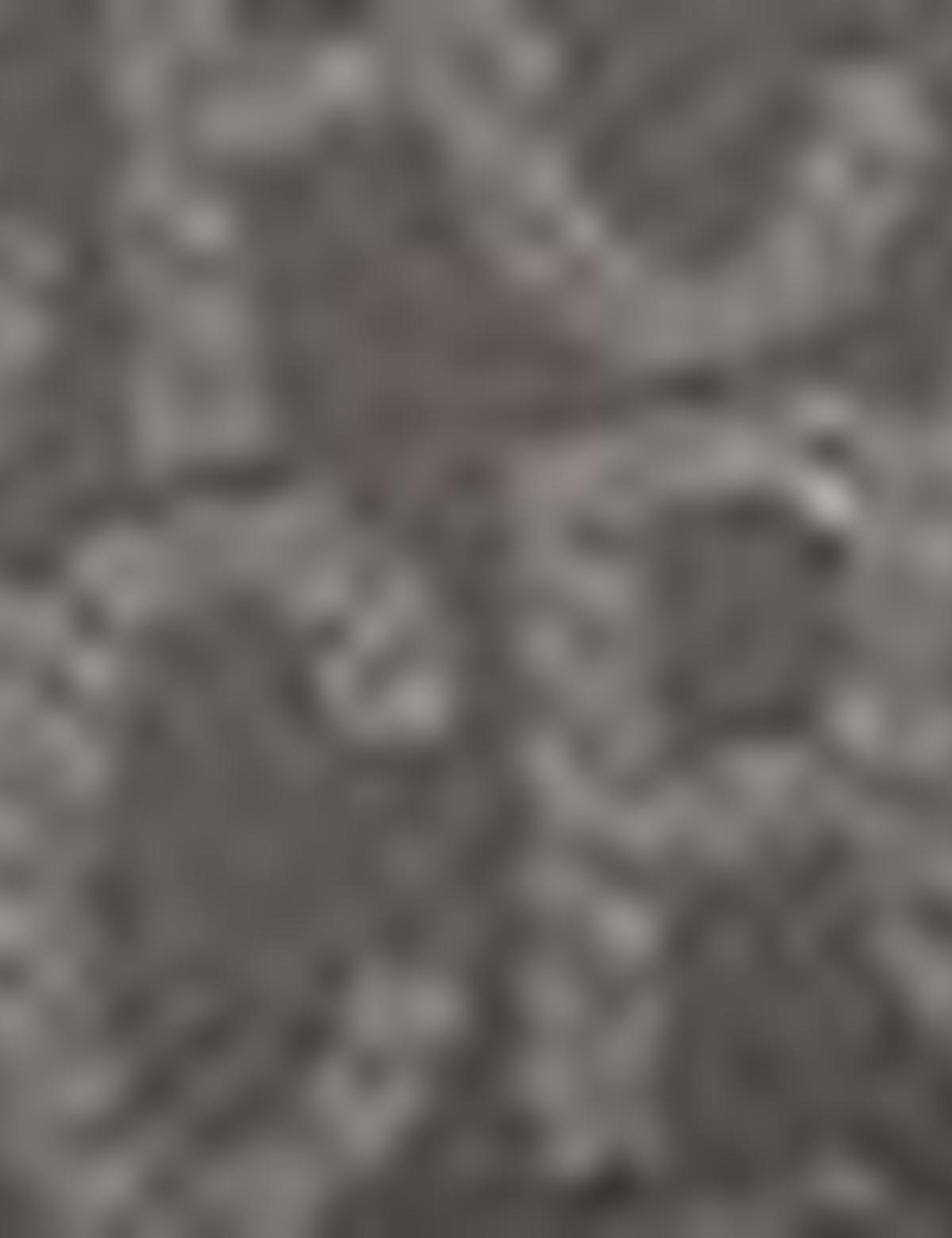 Kadın Omuz Çantası - 50221337003