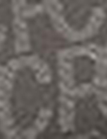 Kadın Omuz Çantası - 50221337003