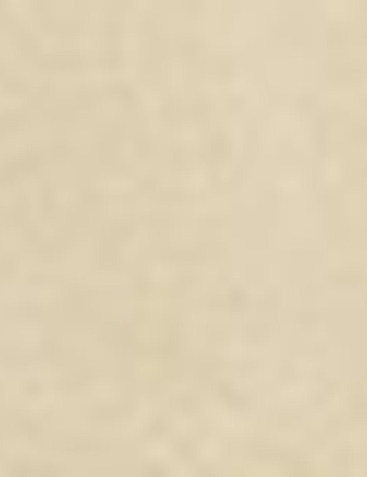 Bej Kaşe Mont - 50210252030