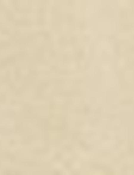 Bej Kaşe Mont - 50210252030