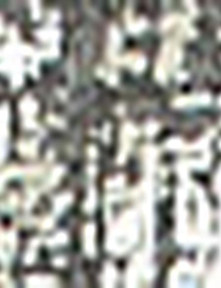 Siyah Tişört - 50213800018