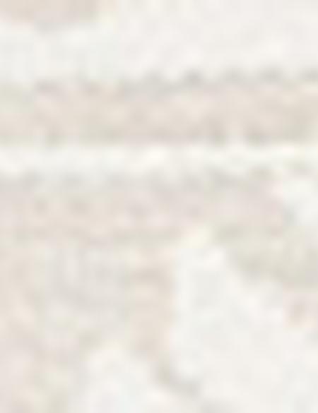 Ekru Sweatshirt - 50214217018