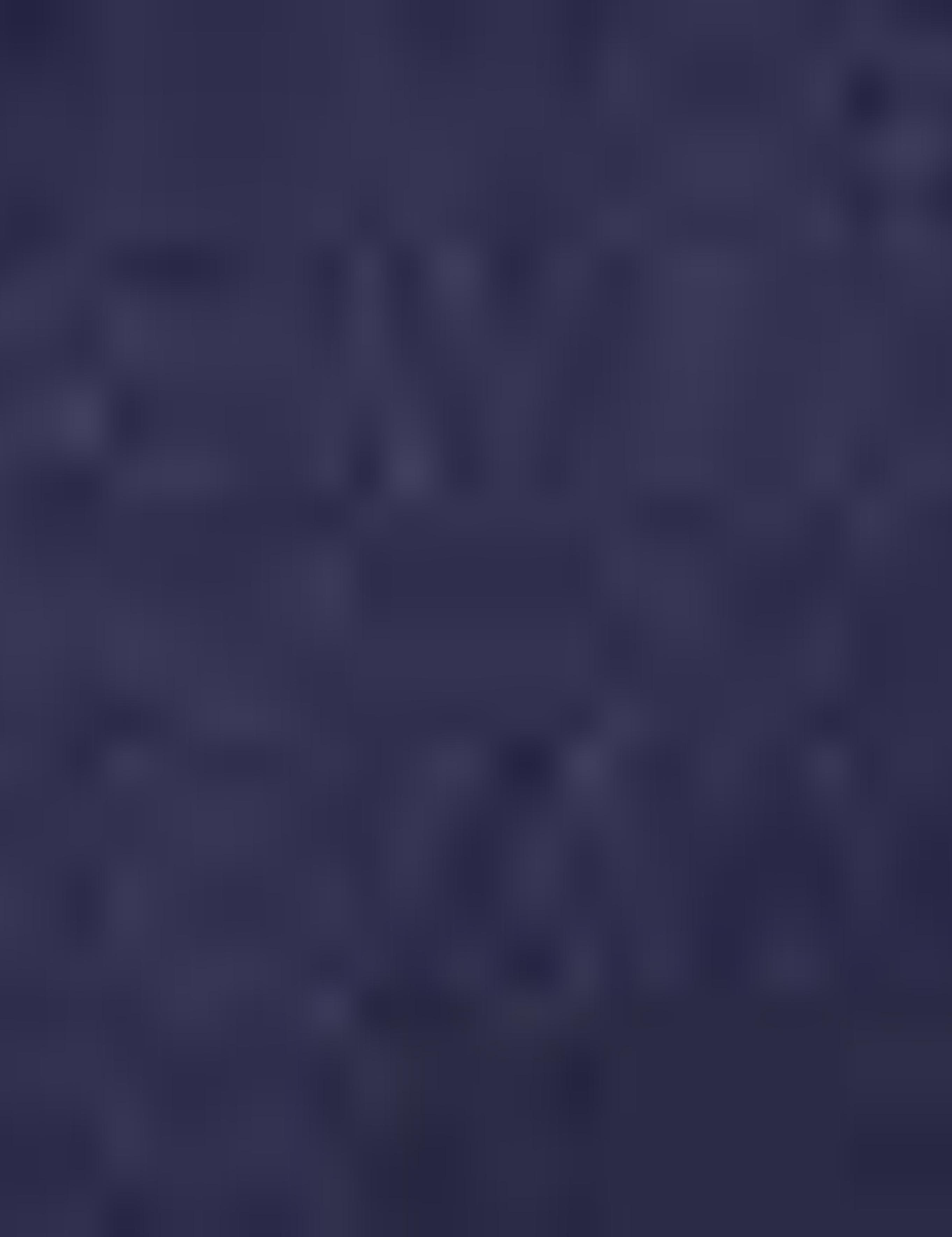 Lacivert Slim Fit Chino Pantolon