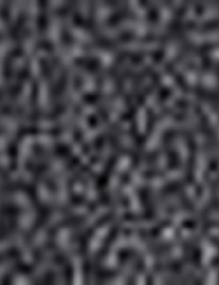 Siyah Slim Fit Pantolon - 50196042058