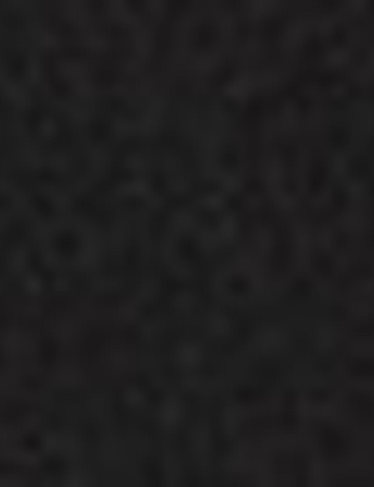 Siyah Regular Fit Tişört - 50221697001