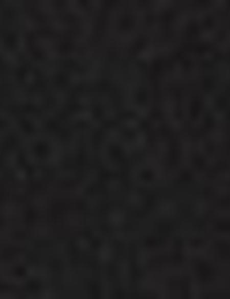 Siyah Regular Fit Tişört - 50221697001