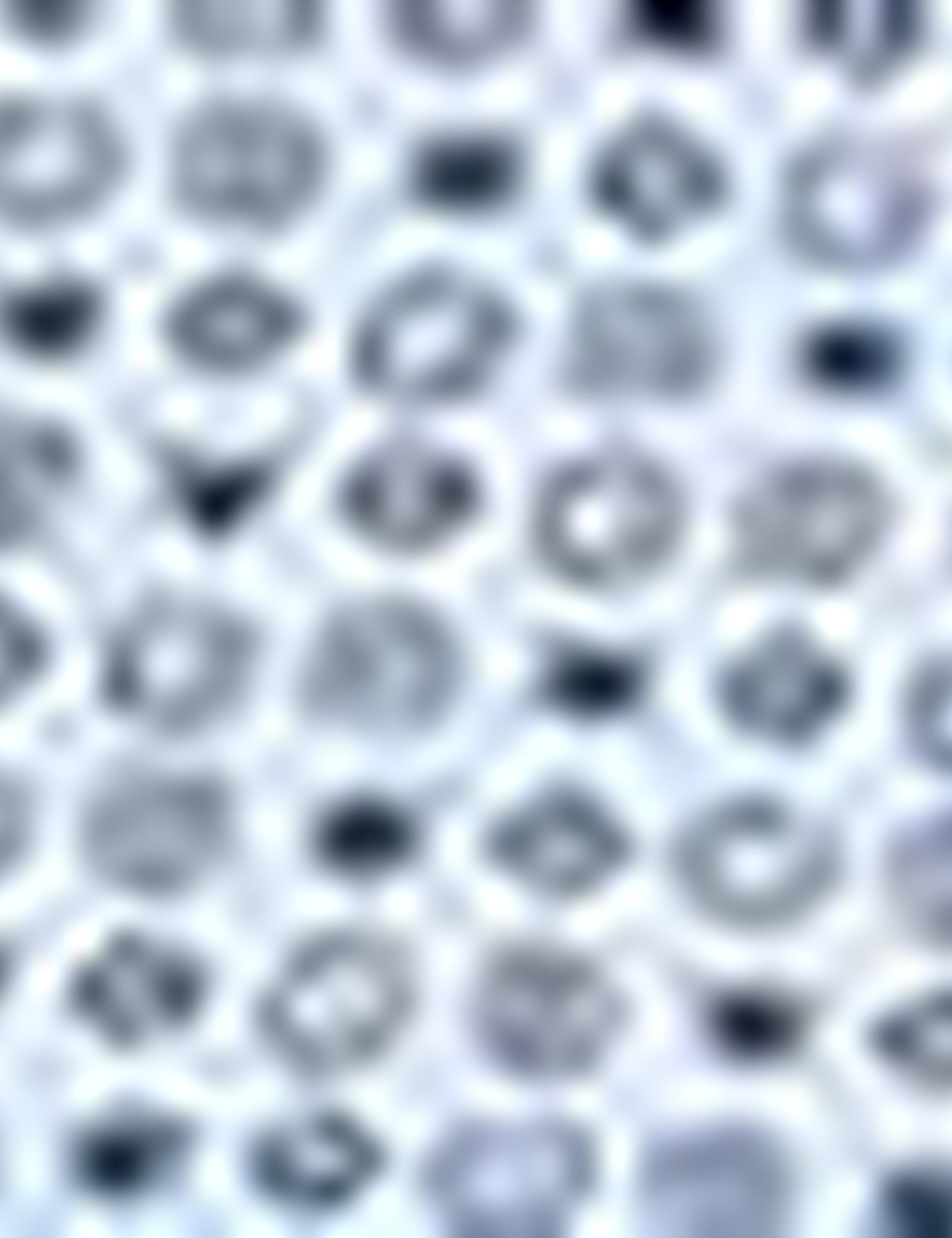 Mavi Slim Fit Gömlek