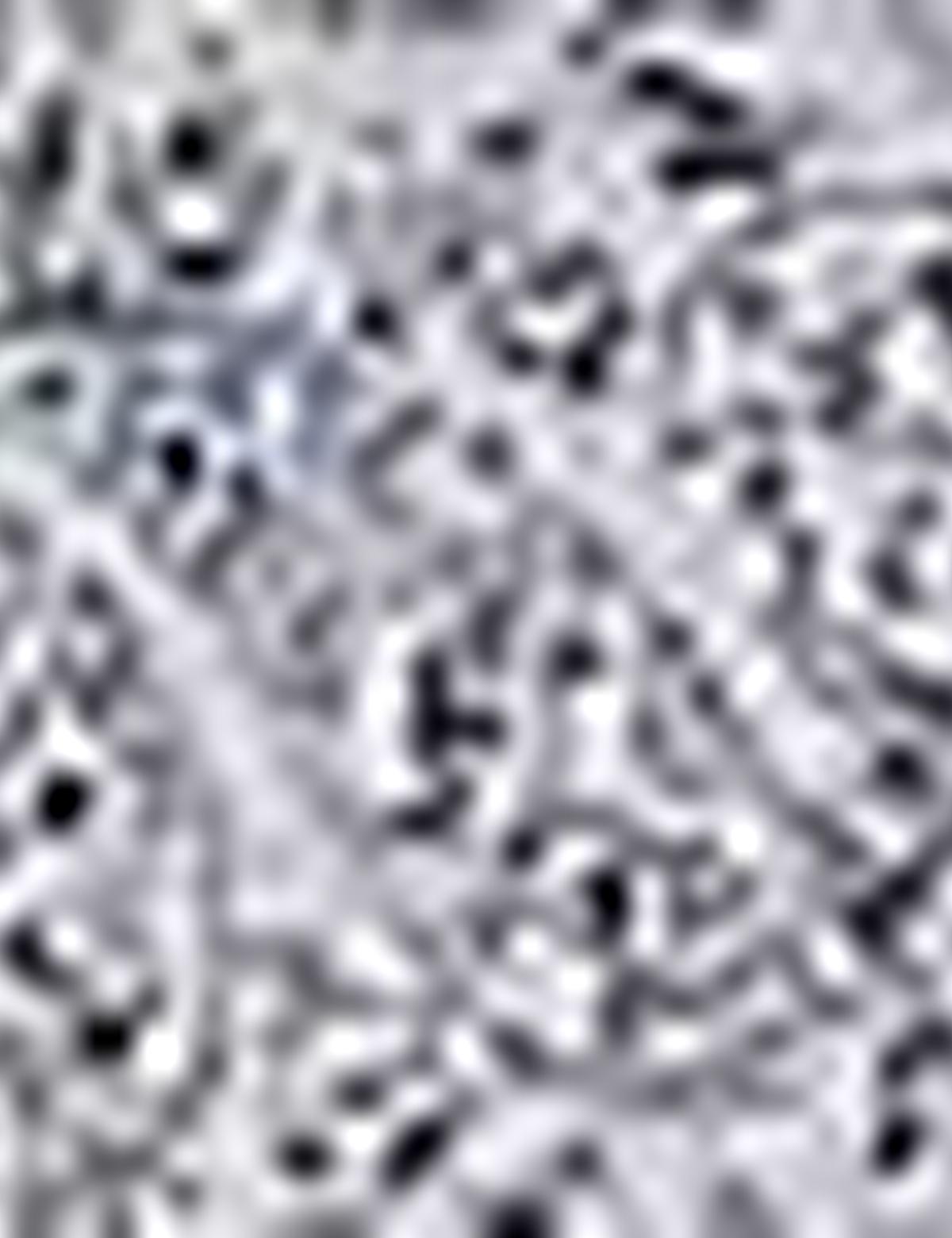 Slim Bej Gömlek - 50194918002