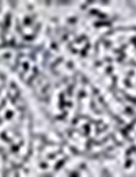 Slim Bej Gömlek - 50194918002