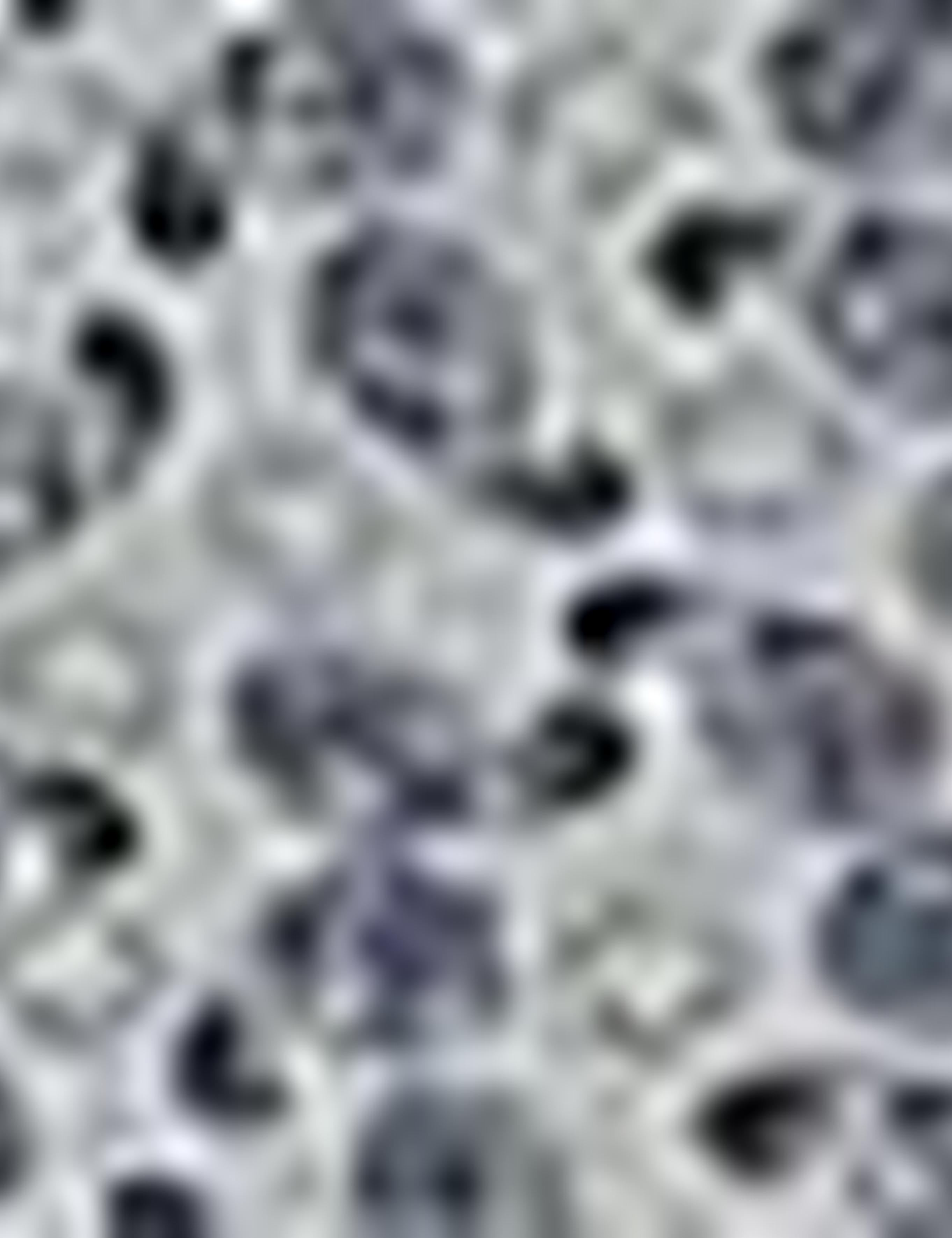 Koyu Mavi Slim Fit Gömlek