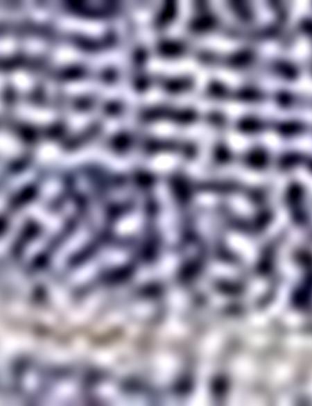 Mavi Slim Fit Uzun Kollu Gömlek - 50195206008