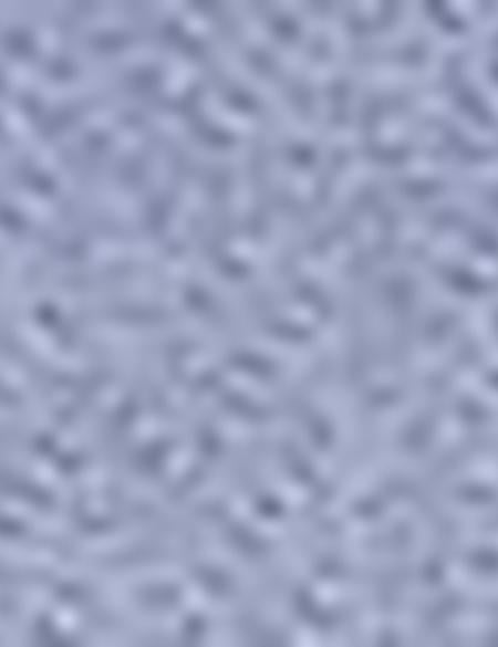 Mavi Slim Fit Uzun Kollu Gömlek - 50205315006