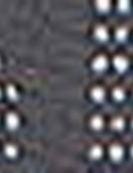 Kadın Bel Çantası - 50215548004