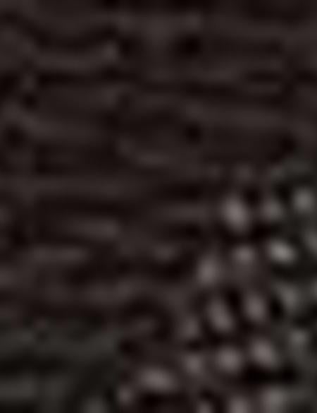 Kadın Sırt Çantası - 50215556006