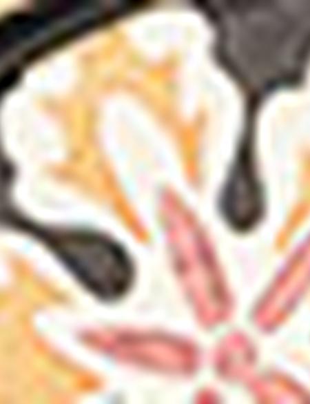 Siyah Sırt Çantası - 50221324002