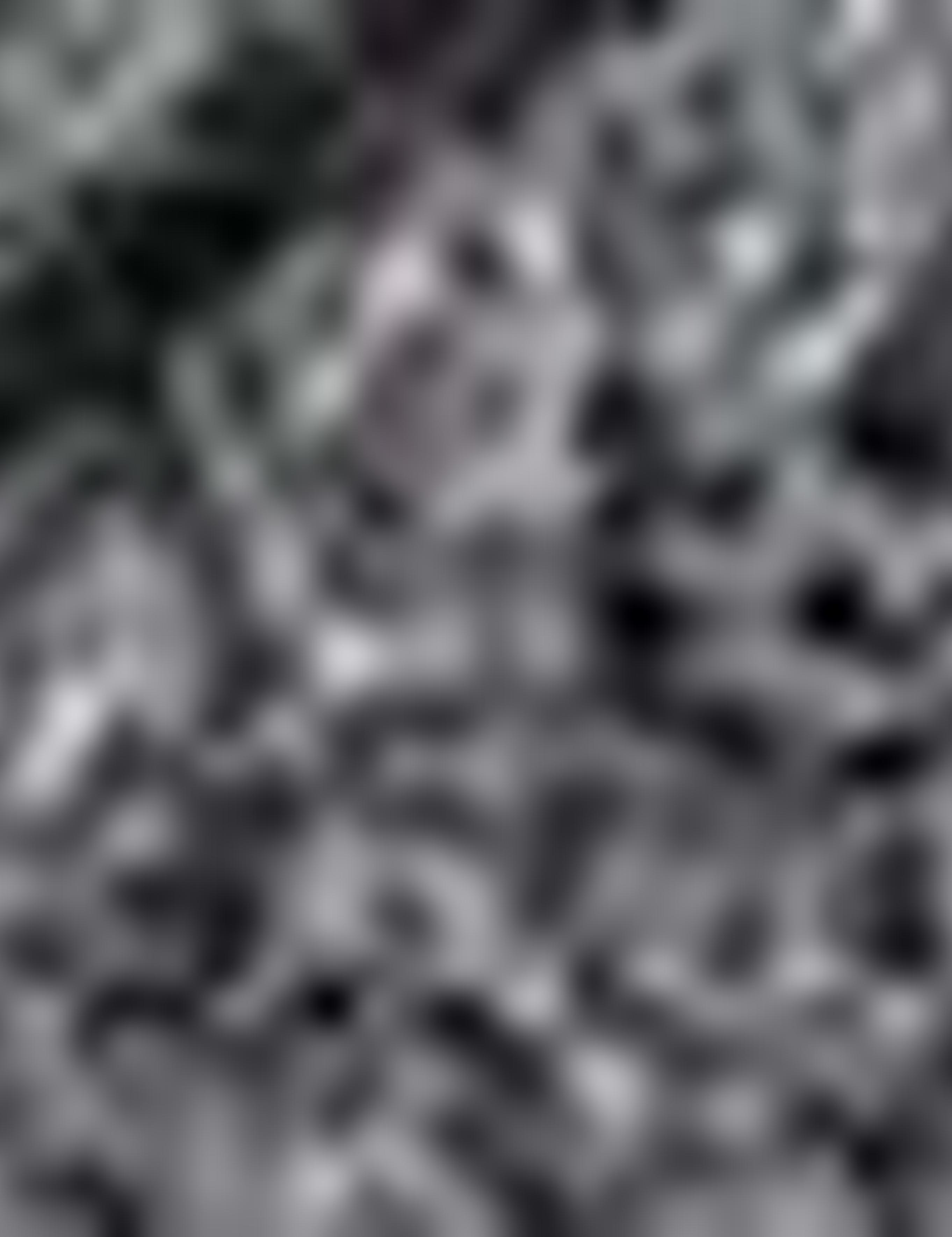 Gri Kaskol Bere Eld Tk