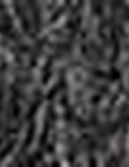 Antrasit Kaşkol Bere Eldiven Takım - 50193269004