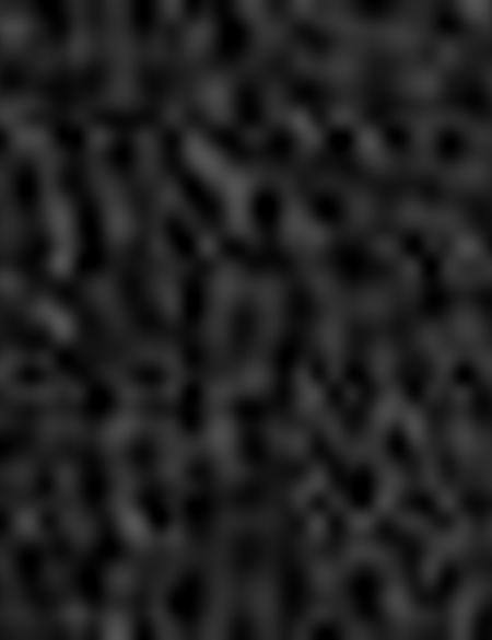 Siyah Kaşkol Bere Eldiven Takım - 50193269001