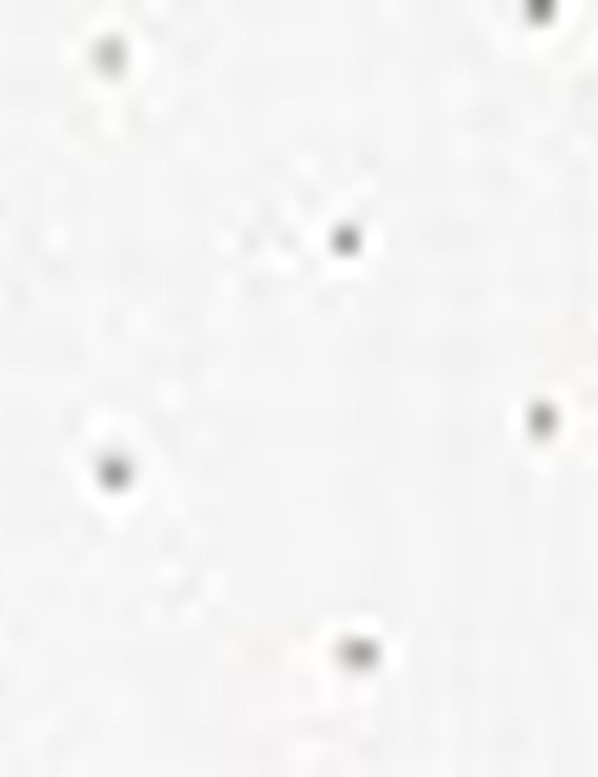 Bej Slim Fit Uzun Kollu Gömlek - 50219466001