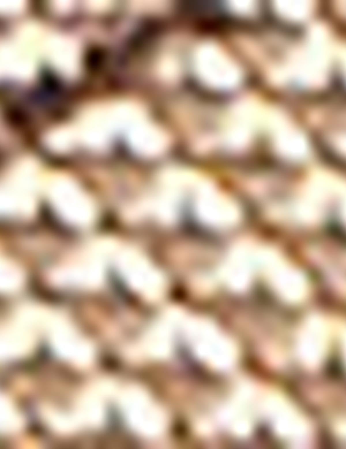 Kadın Çanta - 50226879001