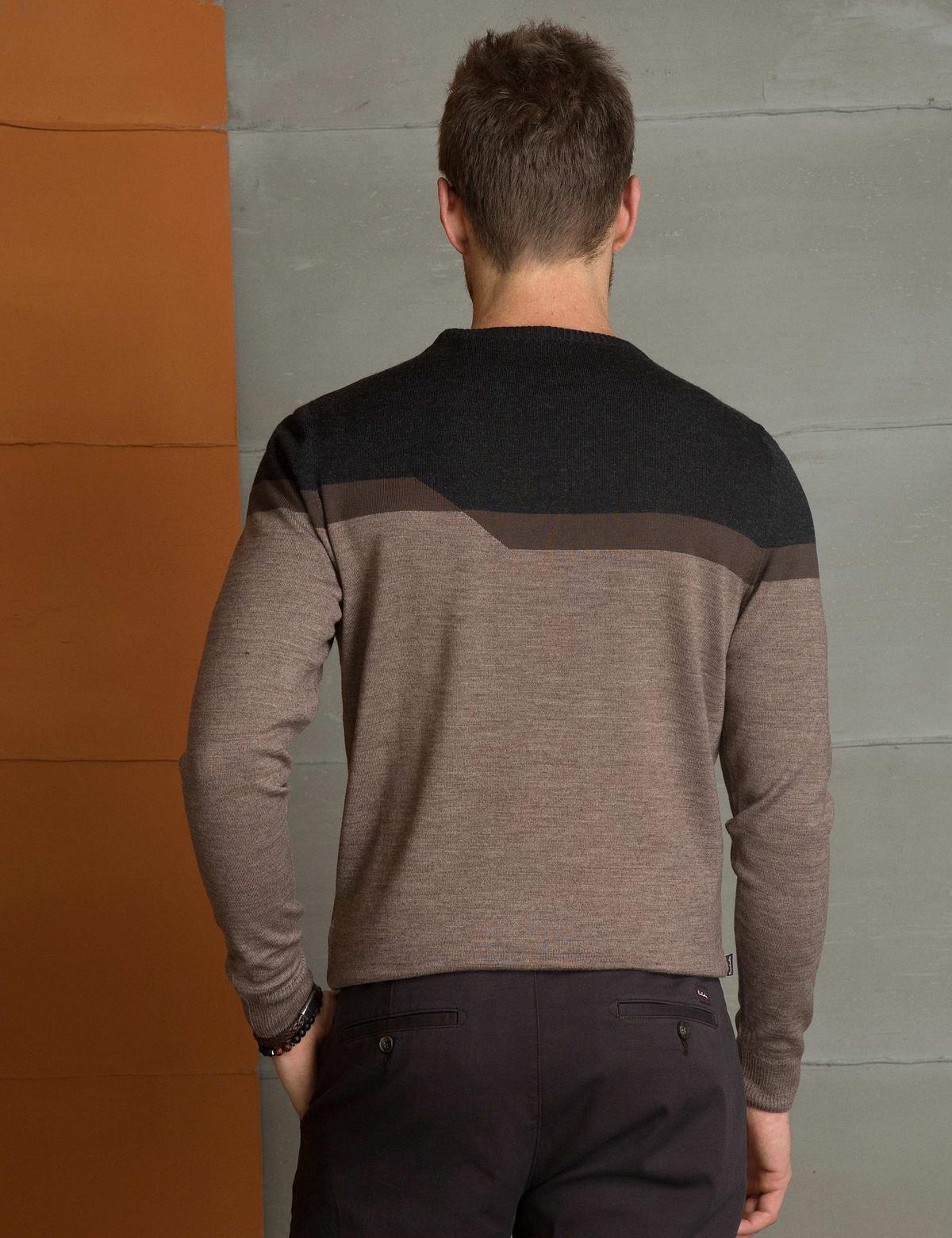 Vizon Slim Fit Bisiklet Yaka Triko Kazak - 50193393055