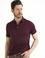 Bordo Slim Fit Polo Yaka Basic T-Shirt