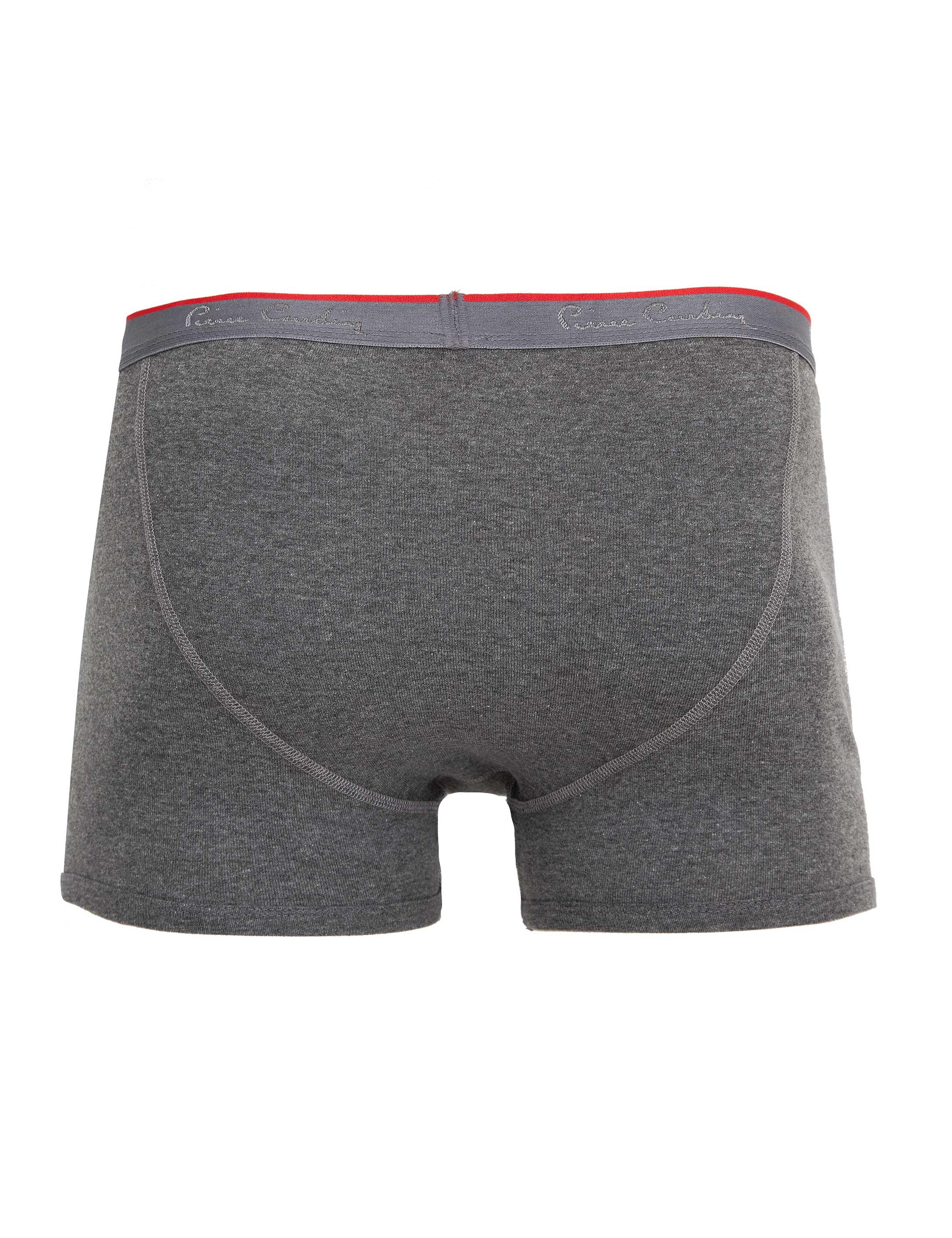 Gri İç Giyim Takım