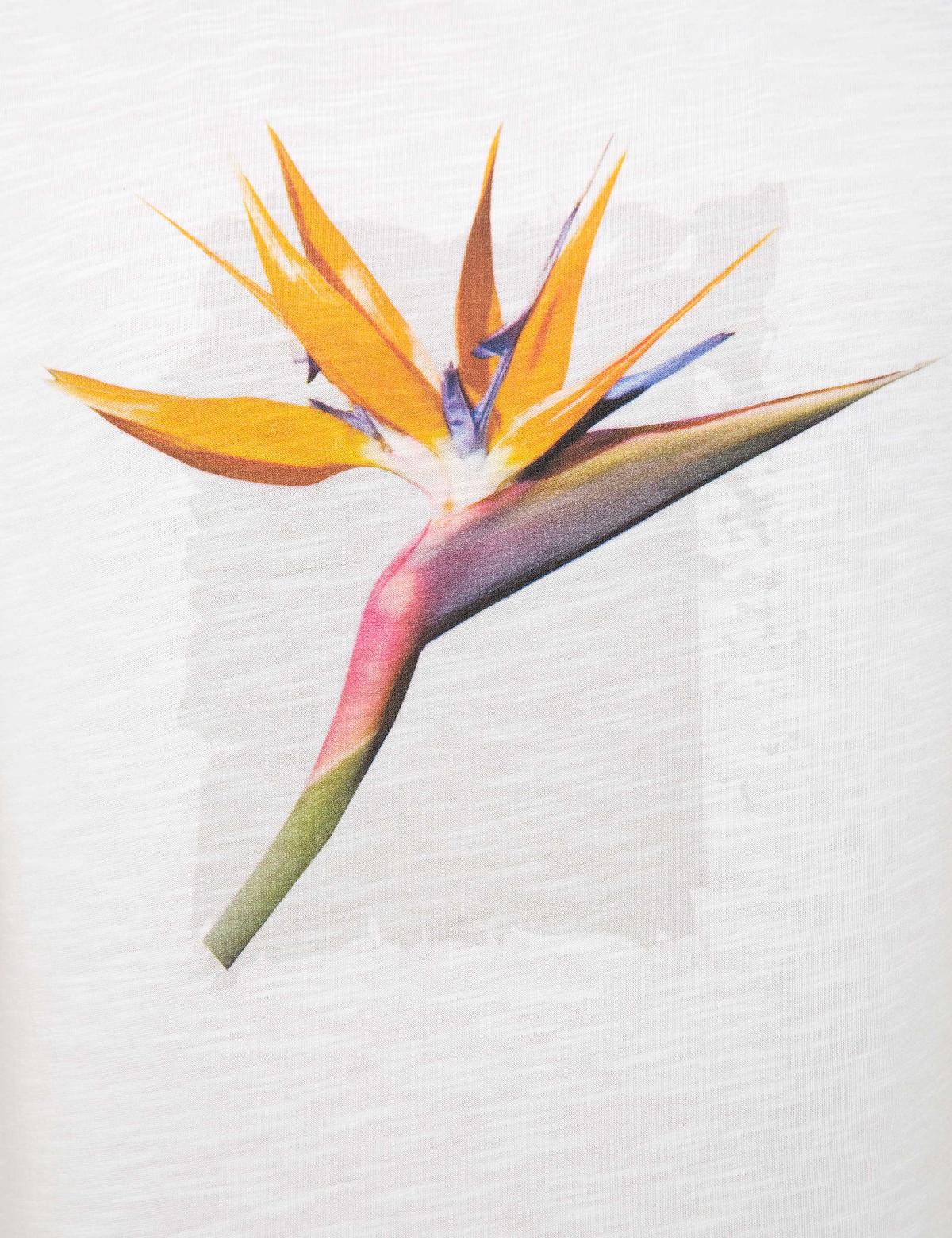 Beyaz Slim Fit Bisiklet Yaka T-Shirt - 50203591002