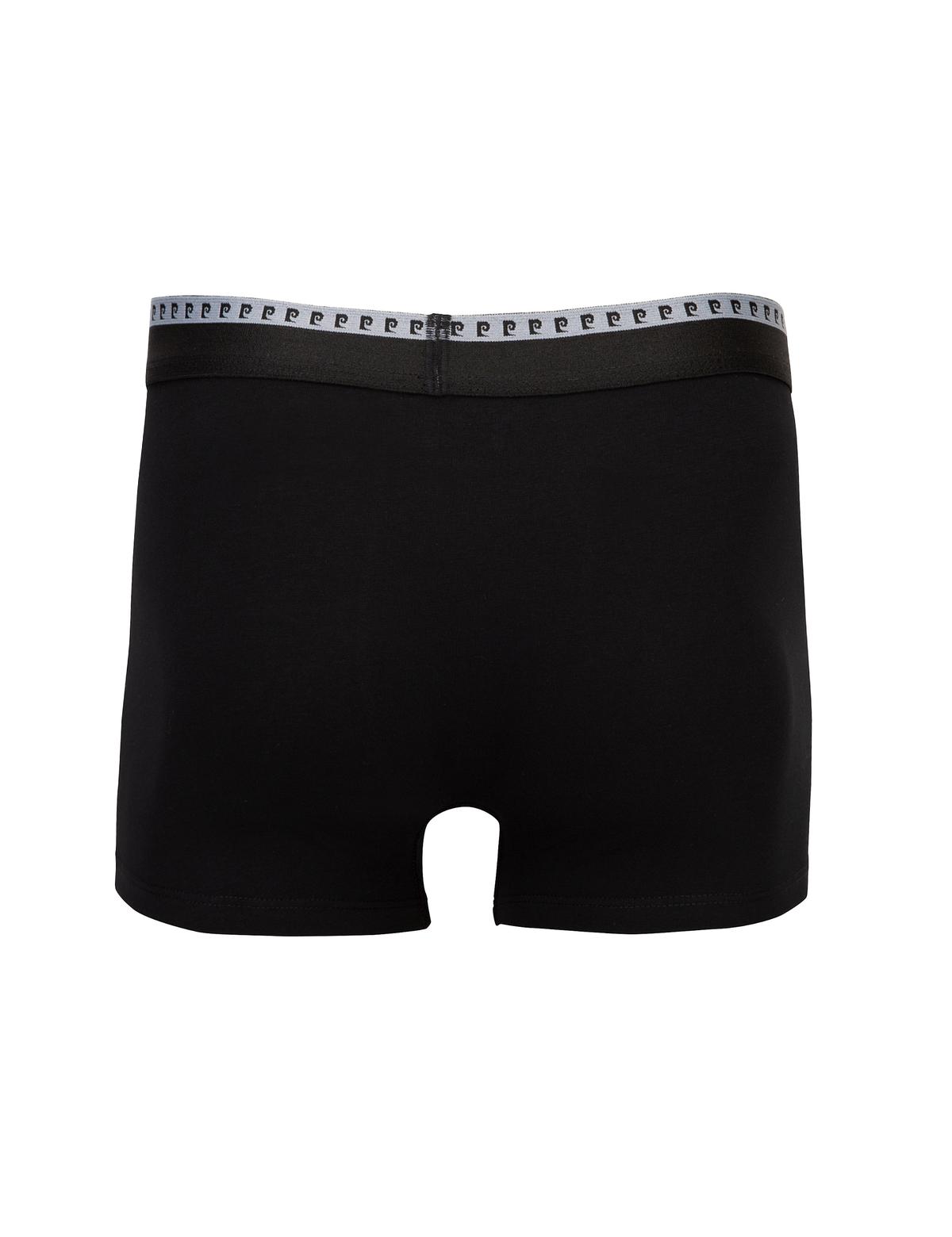 Çok Renkli 2'li Boxer - 50236004004