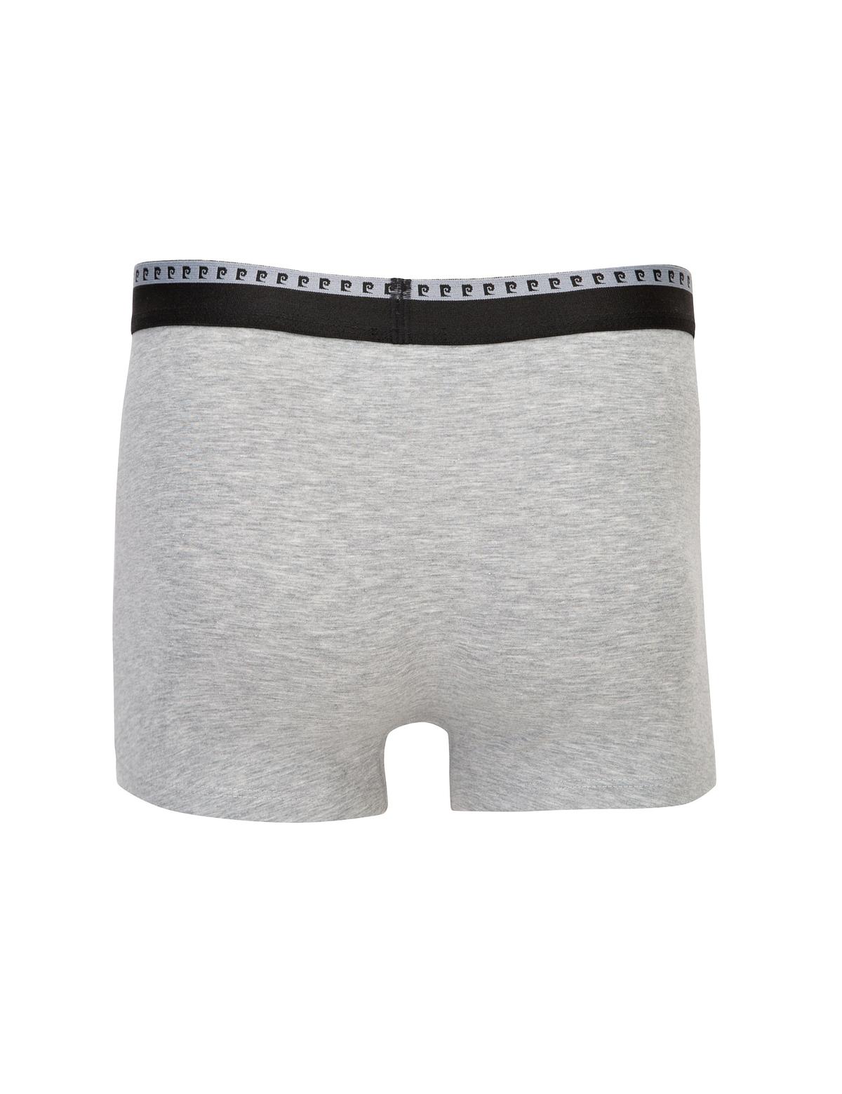 Çok Renkli 2'li Boxer - 50236004004