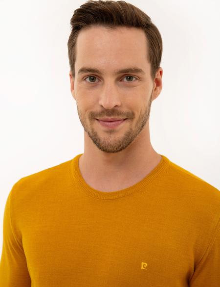 Safran Slim Fit Bisiklet Yaka Basic Triko Kazak - 50227677129