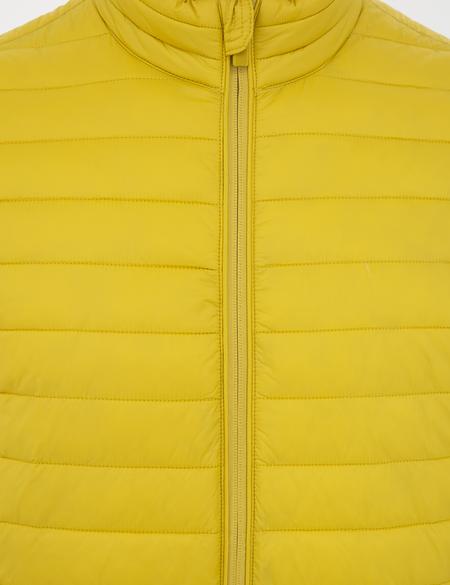 Sarı Mont - 50236003043