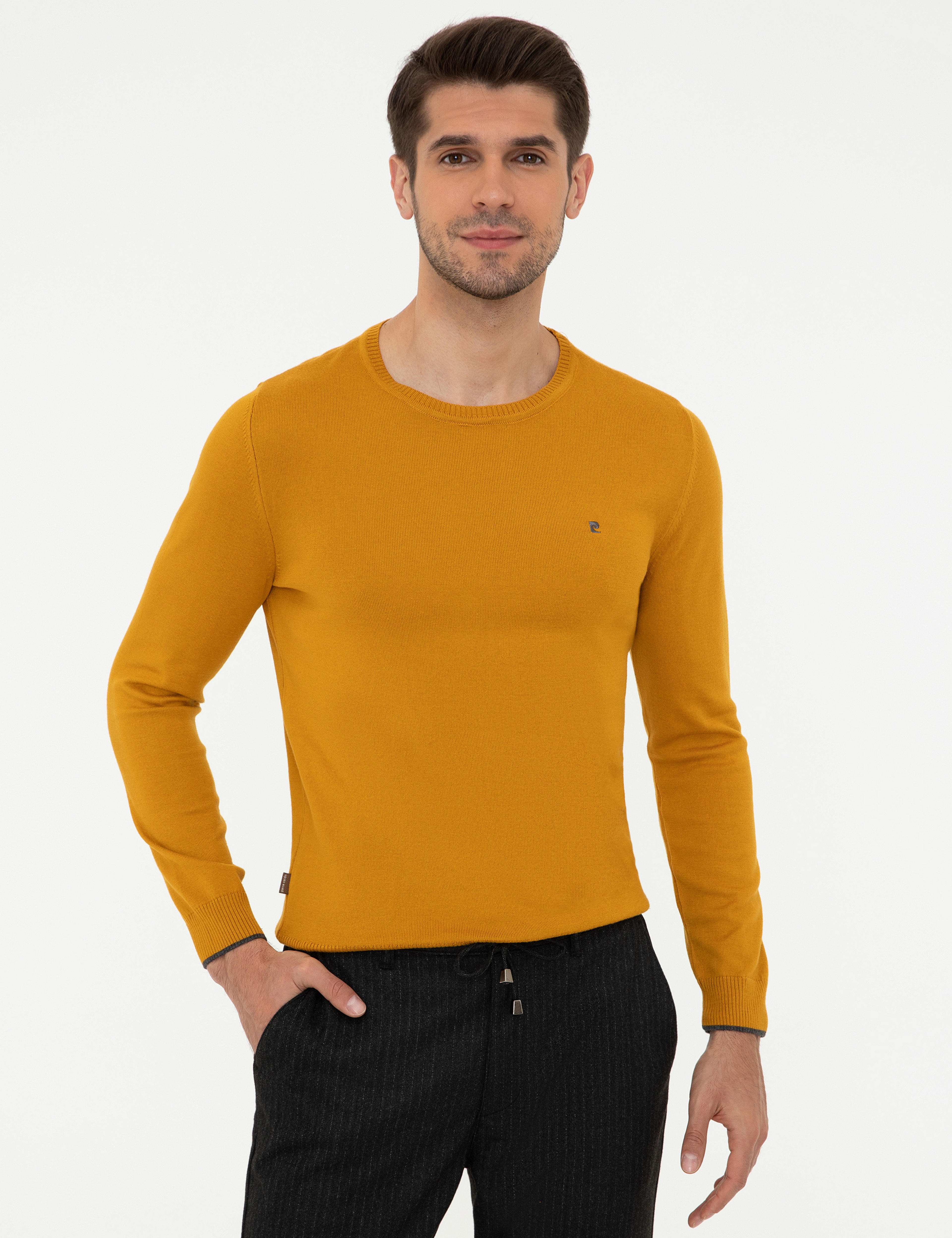 Safran Slim Fit Bisiklet Yaka Basic Triko Kazak - Image 1