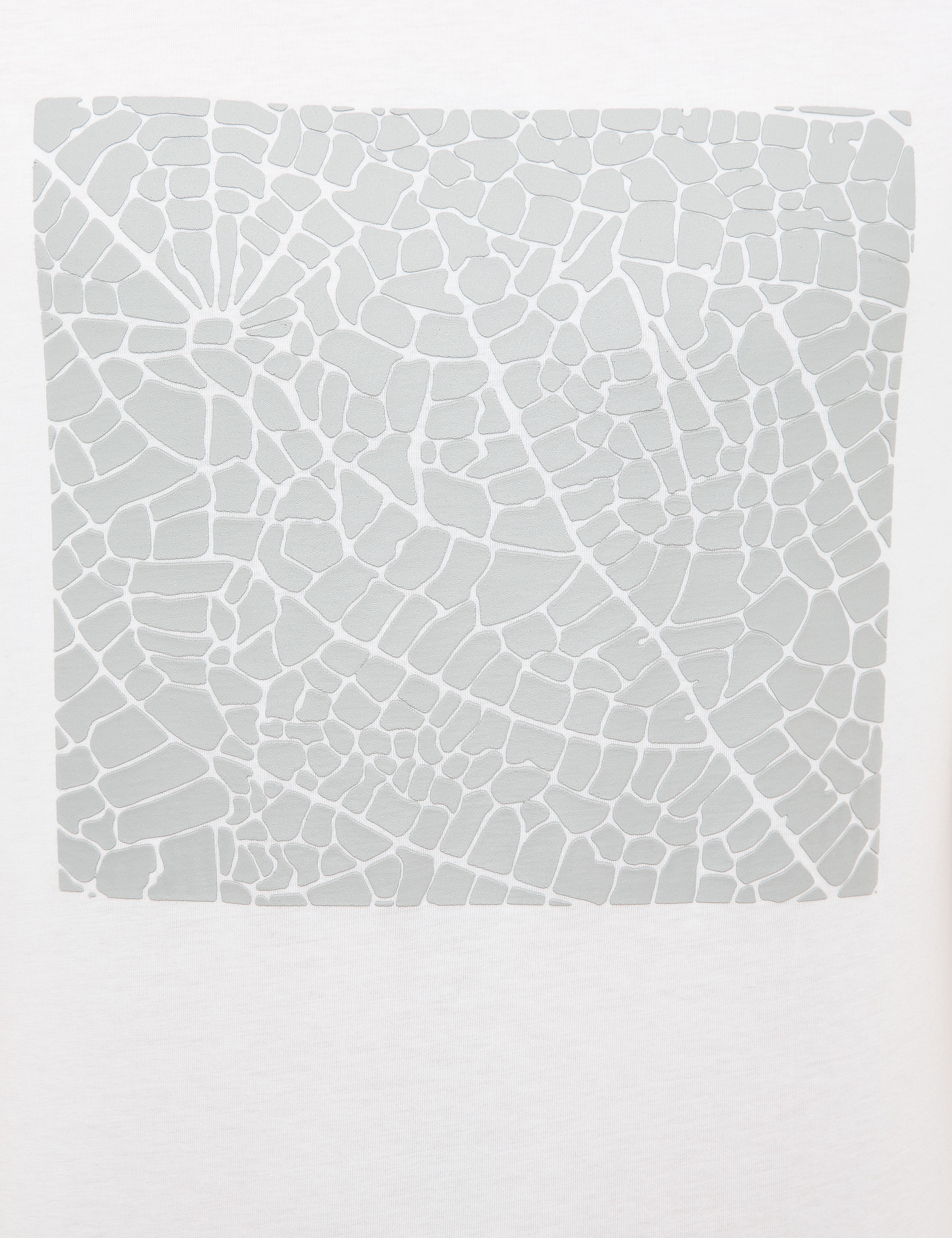 Beyaz Slim Fit Bisiklet Yaka Tişört - 50218102017