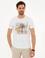 Beyaz Slim Fit Bisiklet Yaka T-Shirt